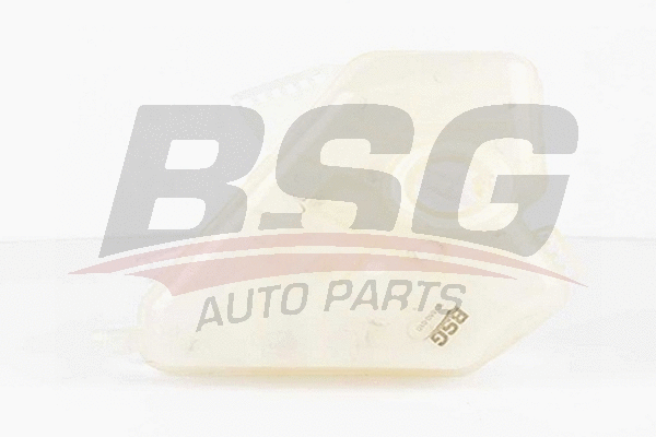 BSG 30-550-010 BSG Компенсационный бак, охлаждающая жидкость (фото 1)