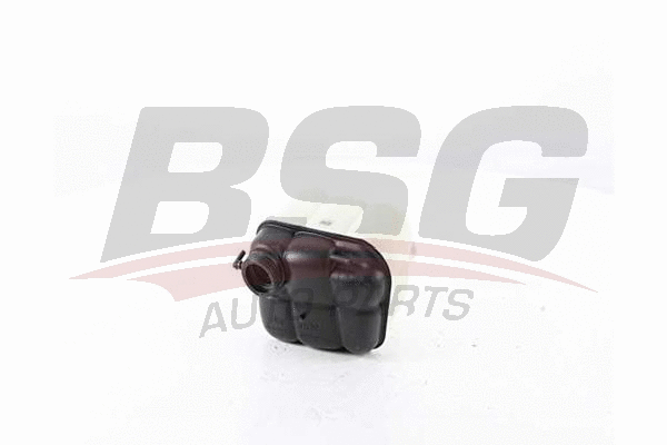 BSG 60-550-001 BSG Компенсационный бак, охлаждающая жидкость (фото 1)