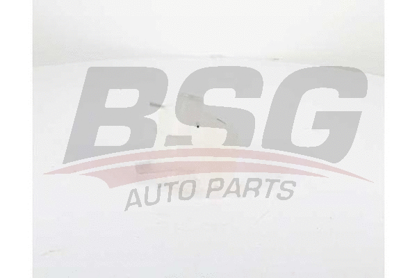 BSG 65-550-015 BSG Компенсационный бак, охлаждающая жидкость (фото 1)