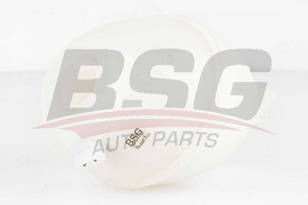 BSG 90-550-002 BSG Компенсационный бак, охлаждающая жидкость (фото 1)