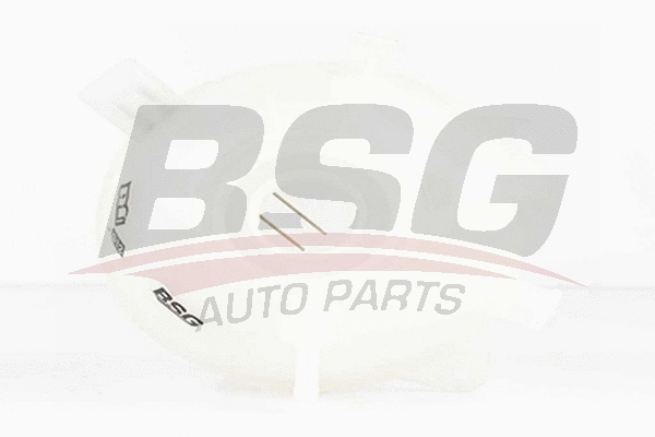 BSG 90-550-006 BSG Компенсационный бак, охлаждающая жидкость (фото 1)