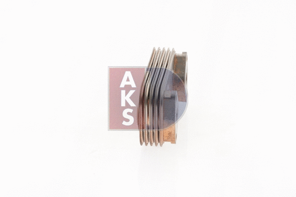 066017N AKS DASIS Масляный радиатор, двигательное масло (фото 13)