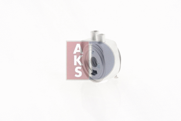 156031N AKS DASIS масляный радиатор, двигательное масло (фото 2)