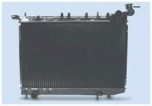 0121.2550 FRIGAIR Радиатор, охлаждение двигателя (фото 2)