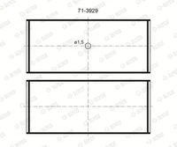 71-3929/4 STD GLYCO Шатунный подшипник (фото 3)