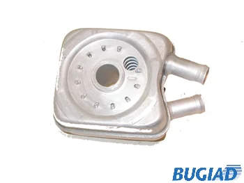 BSP20293 BUGIAD масляный радиатор двигателя (фото 1)