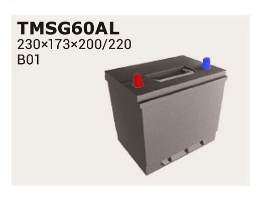 TMSG60AL IPSA Стартерная аккумуляторная батарея (фото 3)
