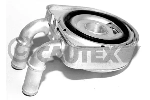 031435 CAUTEX Масляный радиатор, двигательное масло (фото 1)