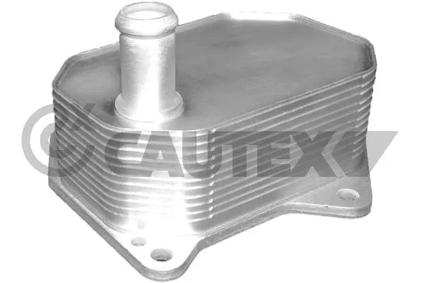 081416 CAUTEX Масляный радиатор, двигательное масло (фото 1)