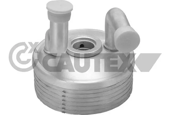 462522 CAUTEX Масляный радиатор, двигательное масло (фото 1)