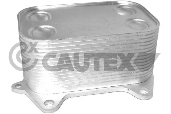 462524 CAUTEX Масляный радиатор, двигательное масло (фото 1)
