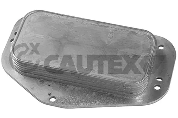 751824 CAUTEX Масляный радиатор, двигательное масло (фото 1)