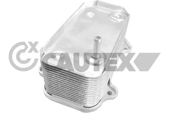 772185 CAUTEX Масляный радиатор, двигательное масло (фото 1)