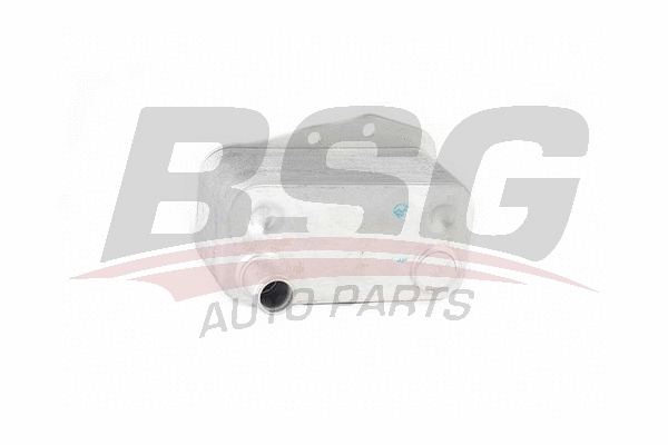 BSG 15-506-008 BSG масляный радиатор, двигательное масло (фото 1)