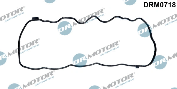 DRM0718 Dr.Motor Automotive Прокладка, крышка картера рулевого механизма (фото 1)