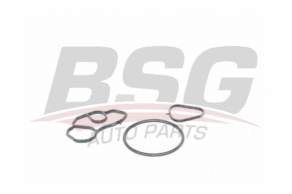 BSG 70-116-001 BSG Прокладка, корпус маслянного фильтра (фото 1)
