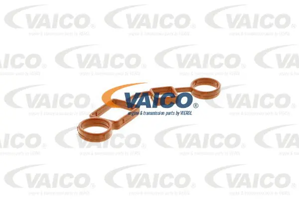 V10-2559 VAICO Прокладка, крышка головки цилиндра (фото 1)
