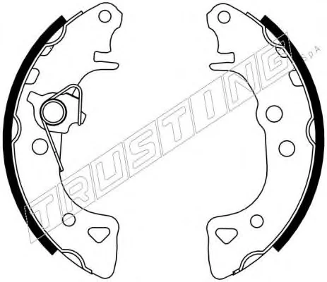 022.030Y TRUSTING Тормозные колодки (фото 1)