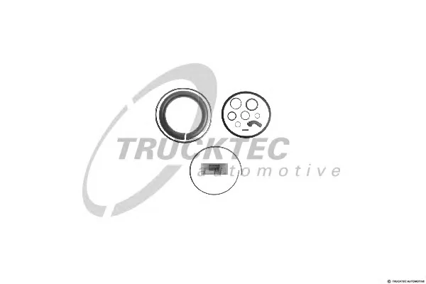 01.43.424 TRUCKTEC Ремкомплект тормозного цилиндра (фото 1)