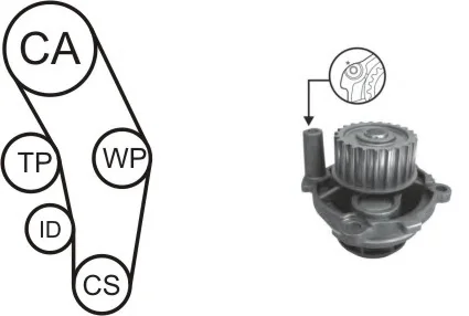 WPK-170302 AIRTEX Водяной насос + комплект зубчатого ремня (фото 1)