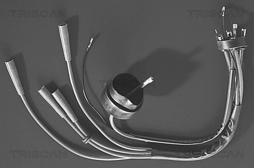 8860 6203 TRISCAN Комплект проводов зажигания (фото 1)