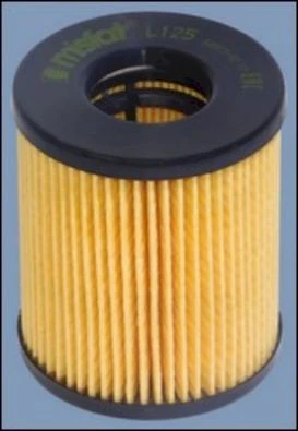 L125 MISFAT Масляный фильтр (фото 3)