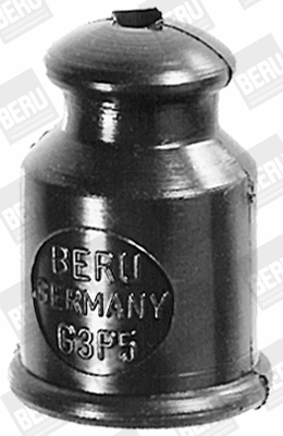 G3P7 BERU Защитный колпак, штепсельная вилка (фото 1)