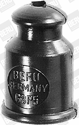 G3P7 BERU Защитный колпак, штепсельная вилка (фото 4)