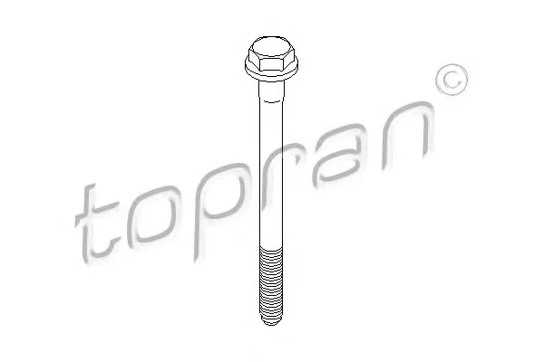 107 150 TOPRAN Болт (фото 1)