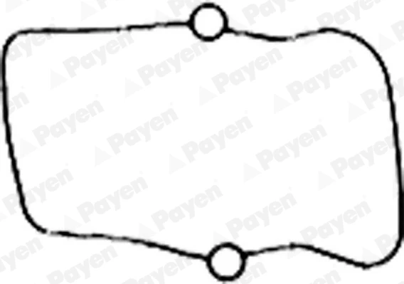 JM5186 PAYEN Прокладка, крышка головки цилиндра (фото 3)