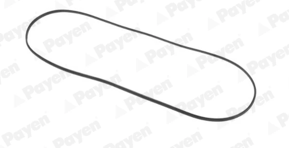 JN707 PAYEN Прокладка, крышка головки цилиндра (фото 3)