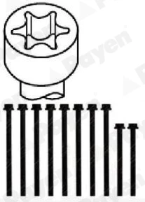 HBS243 PAYEN Комплект болтов головки цилидра (фото 3)