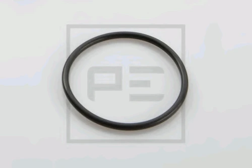 124.013-00A PE AUTOMOTIVE Уплотнительное кольцо (фото 2)