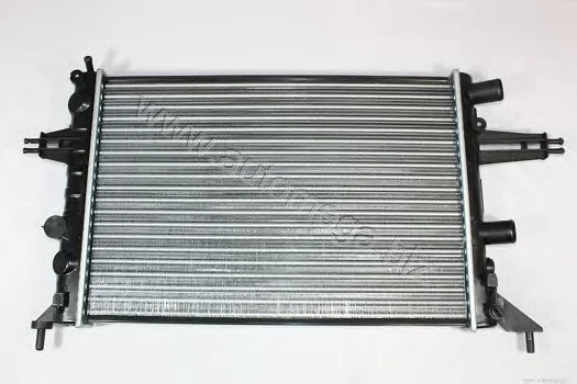 3013000211 AUTOMEGA Радиатор охлаждения двигателя (фото 1)