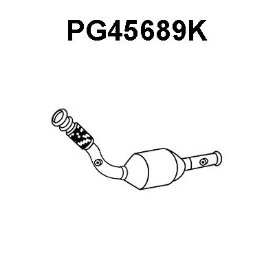 PG45689K VENEPORTE Катализатор (фото 1)