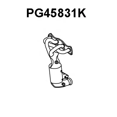 PG45831K VENEPORTE Катализатор коллектора (фото 1)