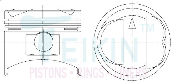 43207.STD TEIKIN Поршень (фото 2)