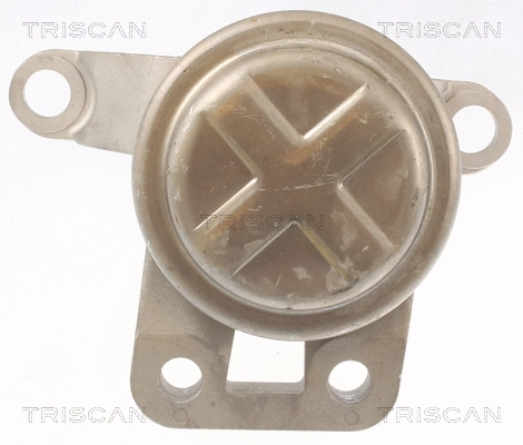 8505 10108 TRISCAN Подвеска, двигатель (фото 1)