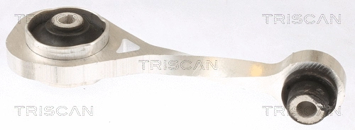 8505 10111 TRISCAN Подвеска, двигатель (фото 1)