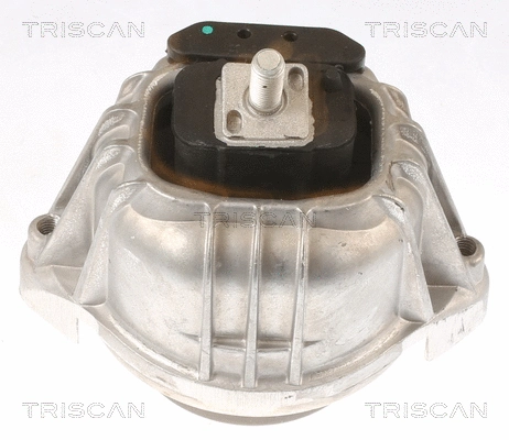 8505 11106 TRISCAN Подвеска, двигатель (фото 1)