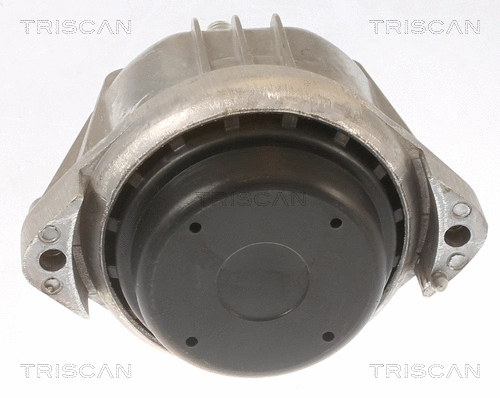 8505 11107 TRISCAN Подвеска, двигатель (фото 2)