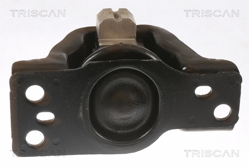 8505 14100 TRISCAN Подвеска, двигатель (фото 2)