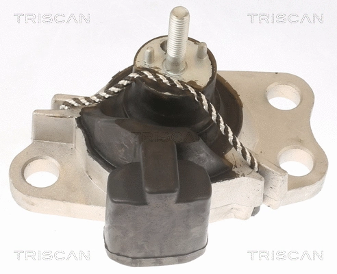 8505 25100 TRISCAN Подвеска, двигатель (фото 1)