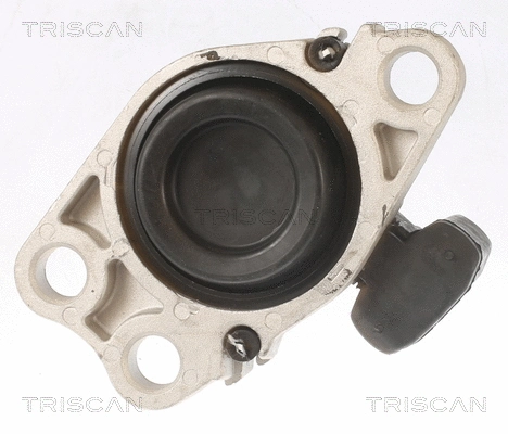 8505 25100 TRISCAN Подвеска, двигатель (фото 3)