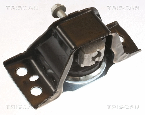 8505 25113 TRISCAN Подвеска, двигатель (фото 1)
