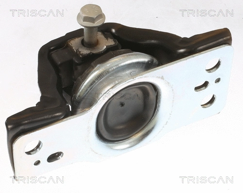 8505 25113 TRISCAN Подвеска, двигатель (фото 3)