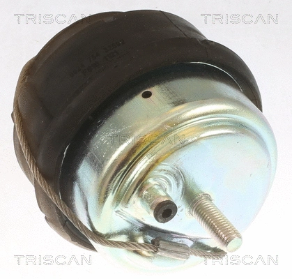 8505 27102 TRISCAN Подвеска, двигатель (фото 2)