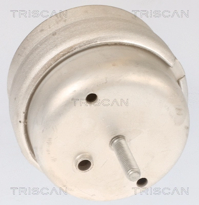 8505 29105 TRISCAN Подвеска, двигатель (фото 3)