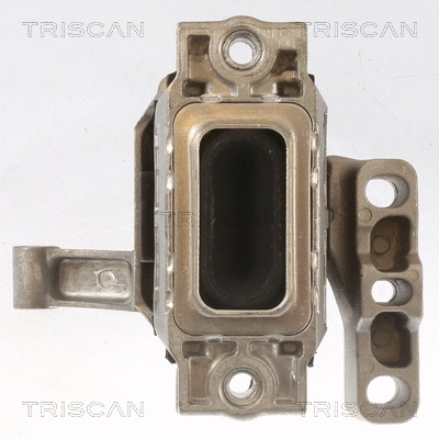 8505 29162 TRISCAN Подвеска, двигатель (фото 3)