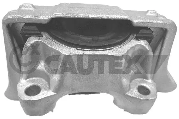 081264 CAUTEX Подвеска, двигатель (фото 2)